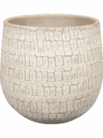 Renzo D 31 H 28 cm - PlantenShop24 - 11-07-2025
