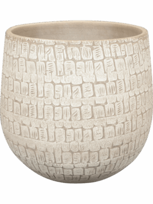 Renzo D 31 H 28 cm - PlantenShop24 - 11-07-2025