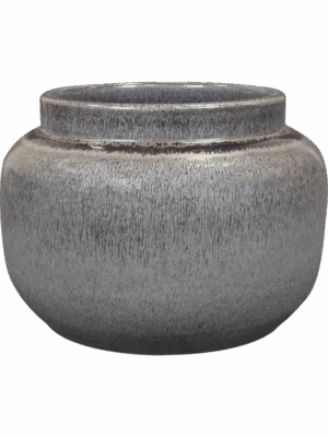 Rocky D 28 H 20 cm - PlantenShop24 - 11-07-2025