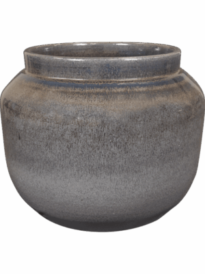 Rocky D 36 H 28 cm - PlantenShop24 - 11-07-2025
