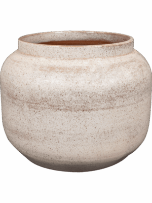 Rocky D 42 H 36 cm - PlantenShop24 - 11-07-2025