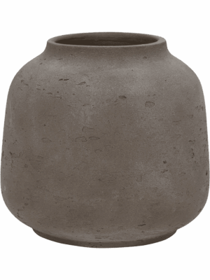 Rough D 17.5 H 16 cm - PlantenShop24 - 01-08-2025