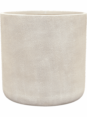 Antwerp D 53 H 52 cm - PlantenShop24 - 19-08-2025