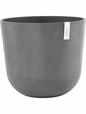 Ecopots D 55 H 48 cm - PlantenShop24 - 27-08-2025
