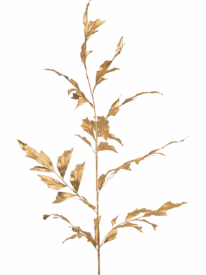 Fishtail Palm H 130 cm - PlantenShop24 - 29-08-2025