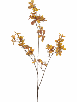 Foliage H 110 cm - PlantenShop24 - 29-08-2025