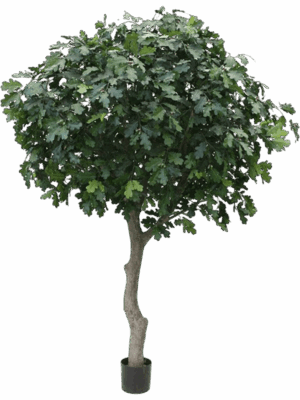 Kunst Eikenboom Giant Deluxe D 170 L 300 cm - PlantenShop24 - 26-08-2025