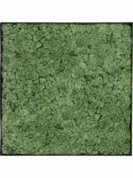 Moss Painting D 40 H 5 cm - PlantenShop24 - 14-08-2025