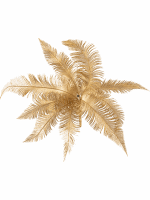 Palm H 40 cm - PlantenShop24 - 29-08-2025
