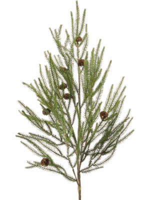 Pine H 105 cm - PlantenShop24 - 29-08-2025
