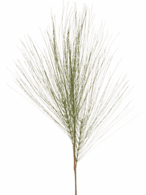 Pine Needle H 100 cm - PlantenShop24 - 29-08-2025