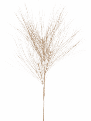 Pine Needle H 100 cm - PlantenShop24 - 29-08-2025