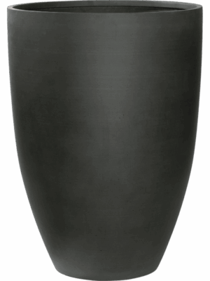 Refined D 52 H 72 cm - PlantenShop24 - 29-08-2025