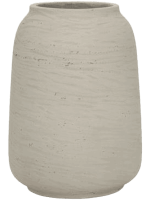 Rough D 16 H 22 cm - PlantenShop24 - 01-08-2025