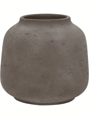 Rough D 22 H 20 cm - PlantenShop24 - 01-08-2025
