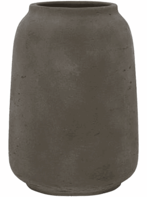Rough D 25 H 34 cm - PlantenShop24 - 01-08-2025