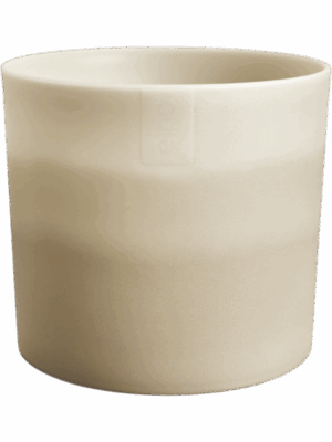 Colour Gradient D 14 H 12 cm - PlantenShop24 - 04-09-2025