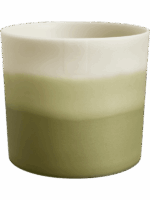 Colour Gradient D 14 H 12 cm - PlantenShop24 - 04-09-2025