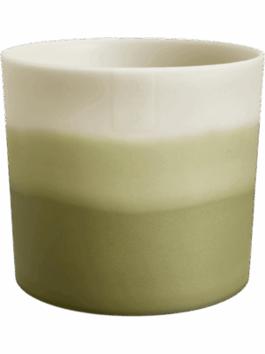 Colour Gradient D 16 H 15 cm - PlantenShop24 - 04-09-2025