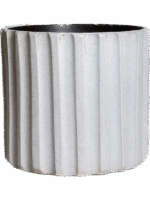 Comet D 14 H 13 cm - PlantenShop24 - 04-09-2025