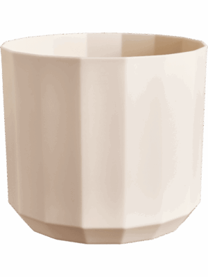 Facet D 14 H 13 cm - PlantenShop24 - 04-09-2025