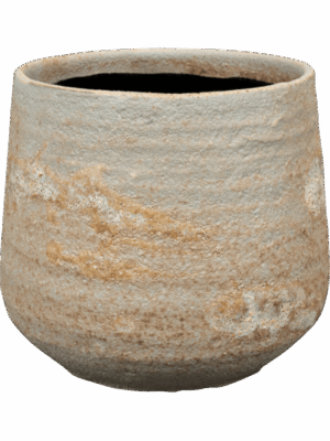 Jelmer D 15 H 12 cm - PlantenShop24 - 08-09-2025