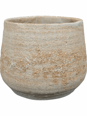 Jelmer D 20 H 17 cm - PlantenShop24 - 08-09-2025