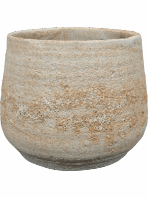 Jelmer D 25 H 20 cm - PlantenShop24 - 08-09-2025