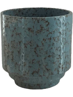 Minor D 16 H 16 cm - PlantenShop24 - 09-09-2025