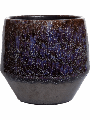 Mist D 20 H 17 cm - PlantenShop24 - 04-09-2025