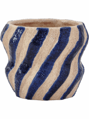 Nebula D 16 H 13 cm - PlantenShop24 - 04-09-2025