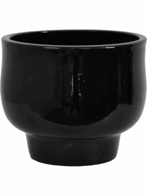 Shade D 32 H 26 cm - PlantenShop24 - 04-09-2025