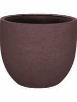 Terreno D 55 H 46 cm - PlantenShop24 - 02-09-2025