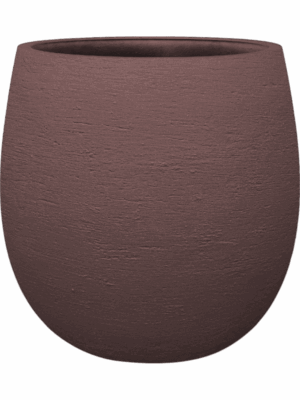 Terreno D 55 H 55 cm - PlantenShop24 - 02-09-2025