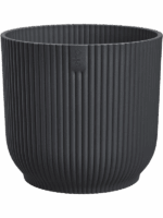 Vibes Fold D 14 H 12 cm - PlantenShop24 - 10-09-2025