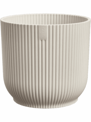 Vibes Fold D 14 H 12 cm - PlantenShop24 - 10-09-2025