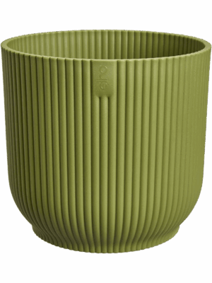 Vibes Fold D 16 H 14 cm - PlantenShop24 - 10-09-2025