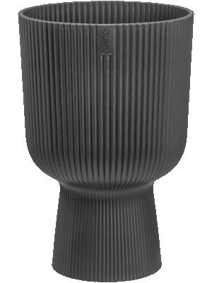 Vibes Fold D 30 H 45 cm - PlantenShop24 - 10-09-2025