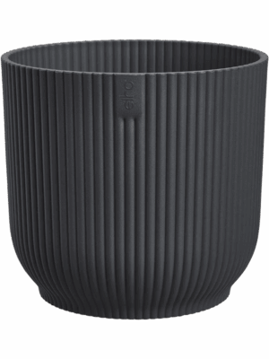 Vibes Fold D 35 H 32 cm - PlantenShop24 - 10-09-2025